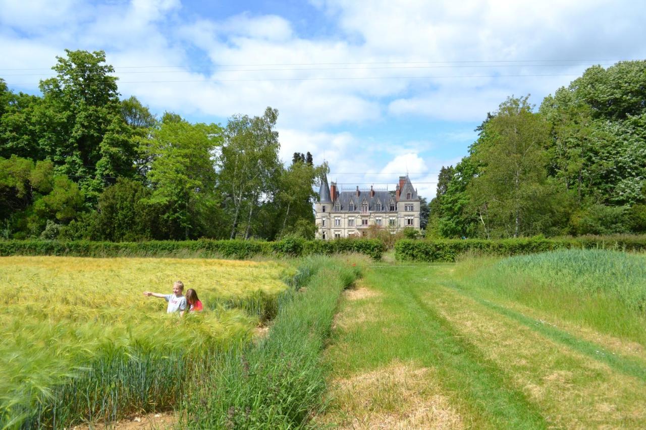 Chateau Le Boisrenault 호텔 Buzançais 외부 사진